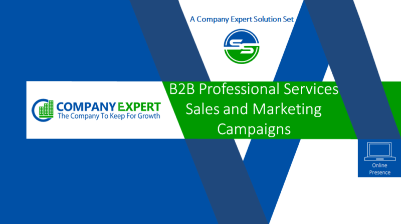 B2B Professional Services Sales & Marketing Campaigns