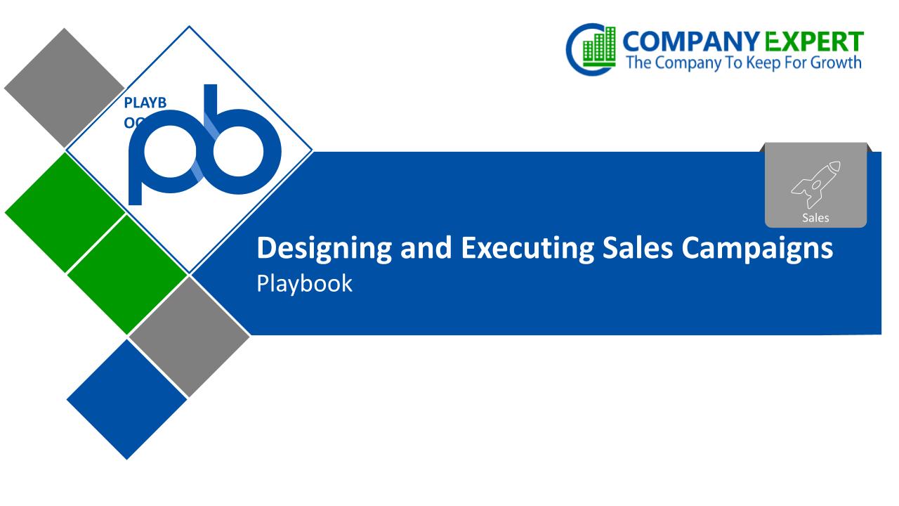 Designing-and-Executing-Sales-Campaigns.pptx