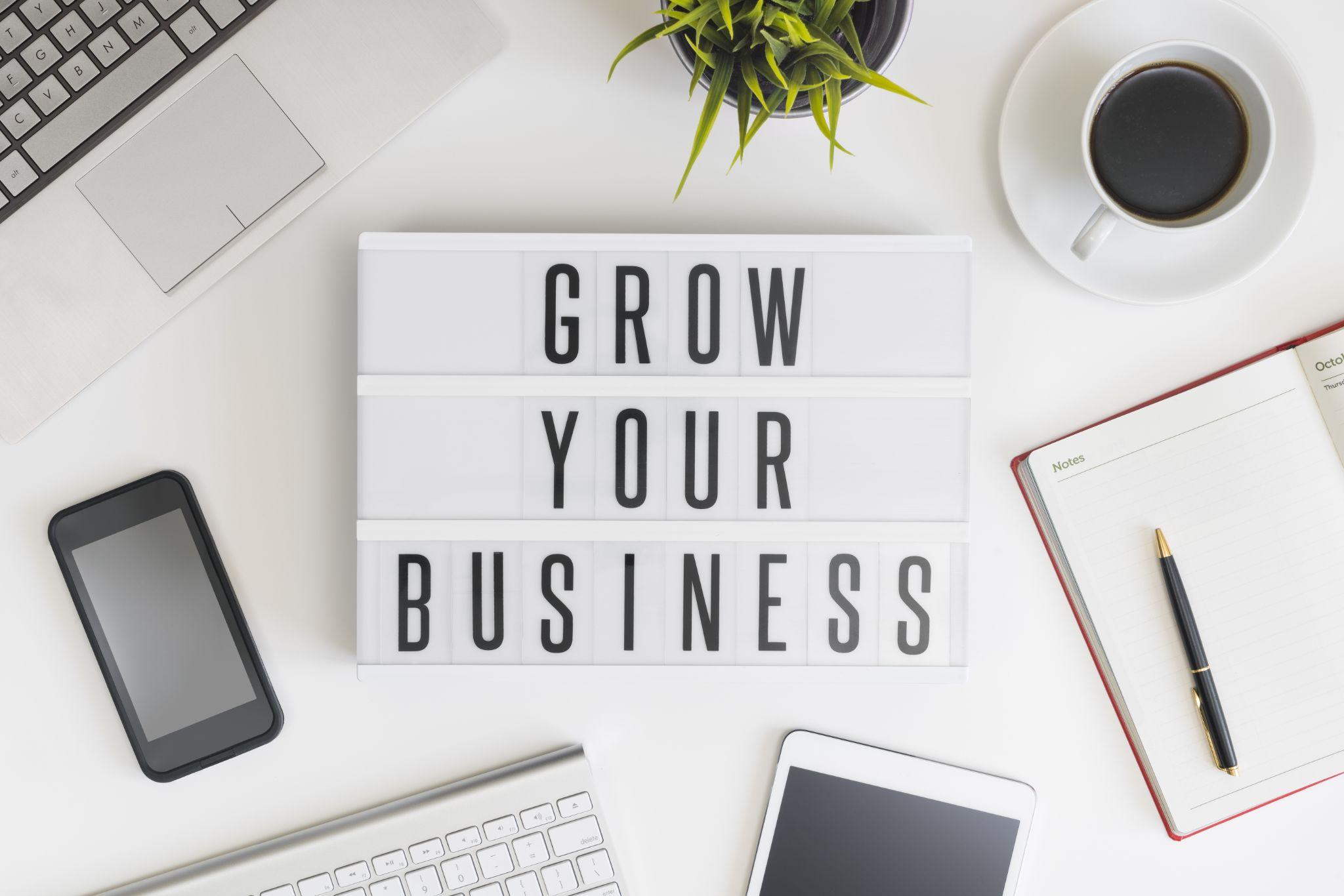 grow-your-business-company-expert